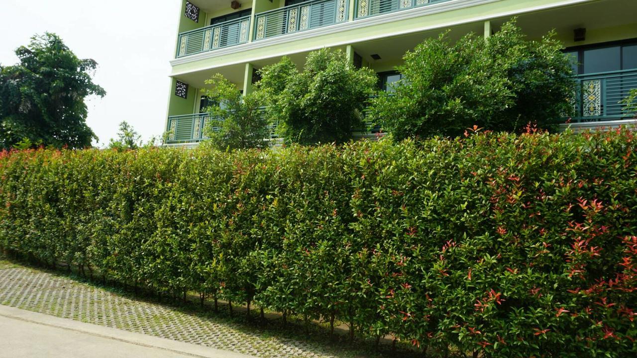 Garden Corner Resort & Hotel بيتسانولوك المظهر الخارجي الصورة